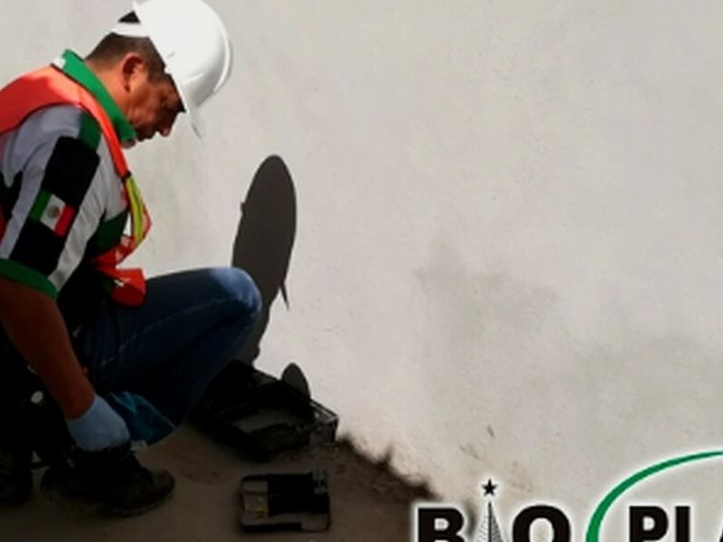 CONTROL FOCALIZADO MÉXICO
