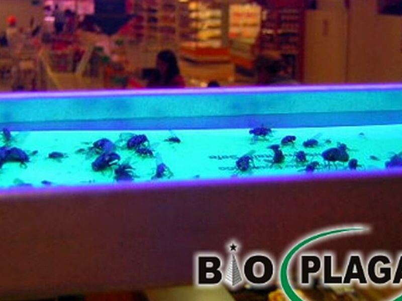instalación equipos luz UV México