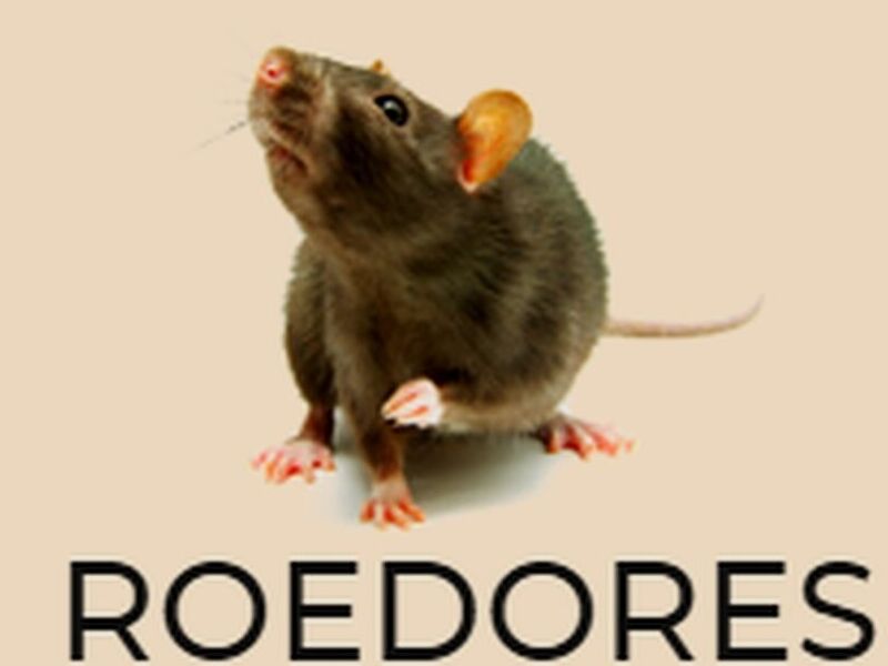 Fumigación Roedores México