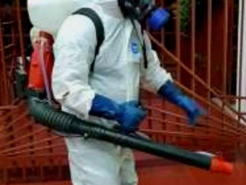 Fumigación México
