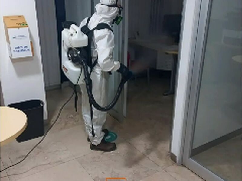 Fumigación Arañas México