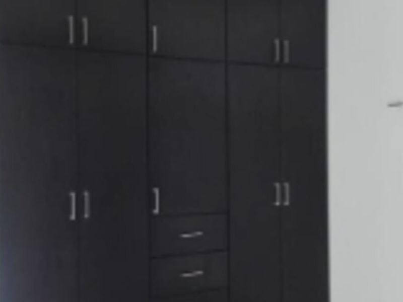 Organizador negro México