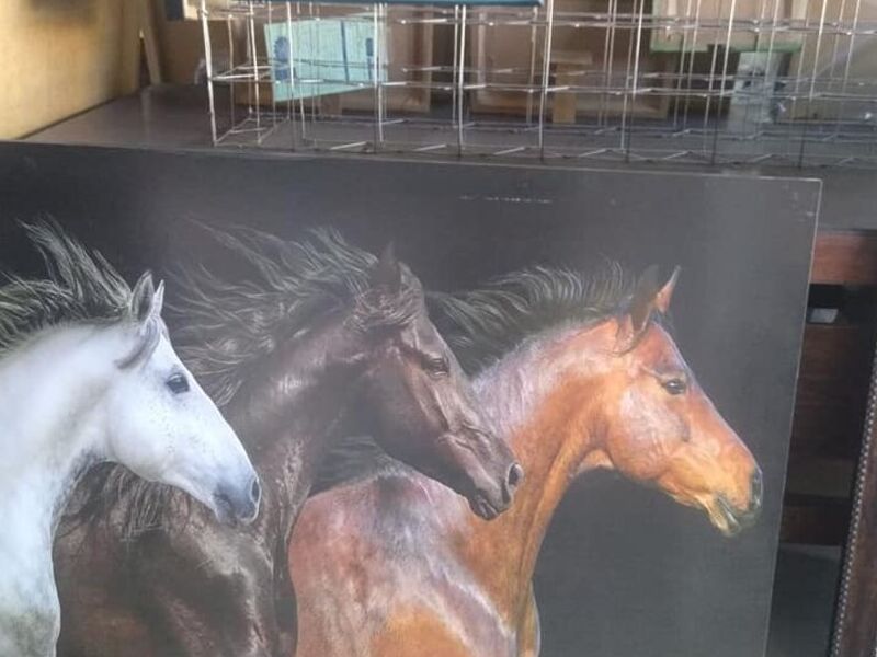 Cuadro Decorativo Caballos Colima