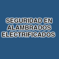 Seguridad en Alambrados Electrificados