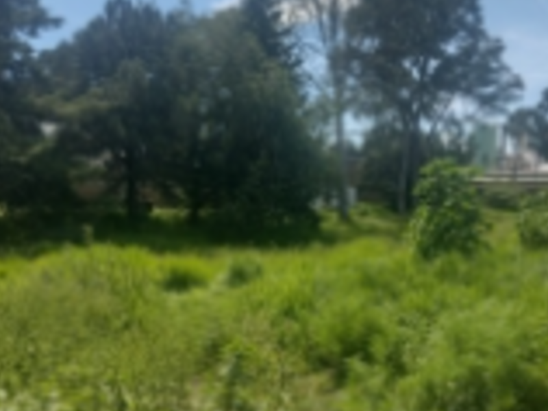 Terreno Venta SJT Ciudad de Apizaco