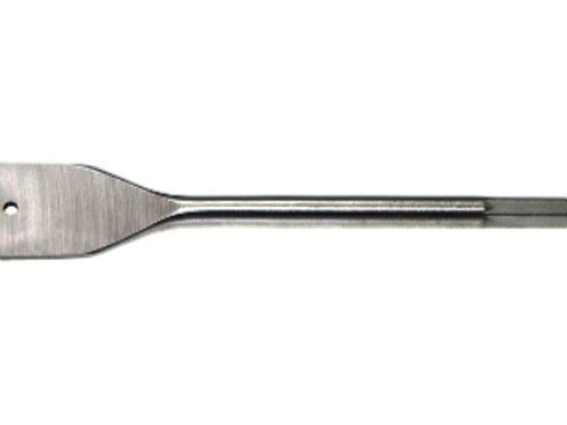 Broca paleta