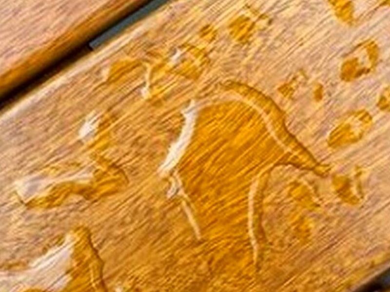 PRESERVADOR ECOLÓGICO MADERA VERDE C MEXICO