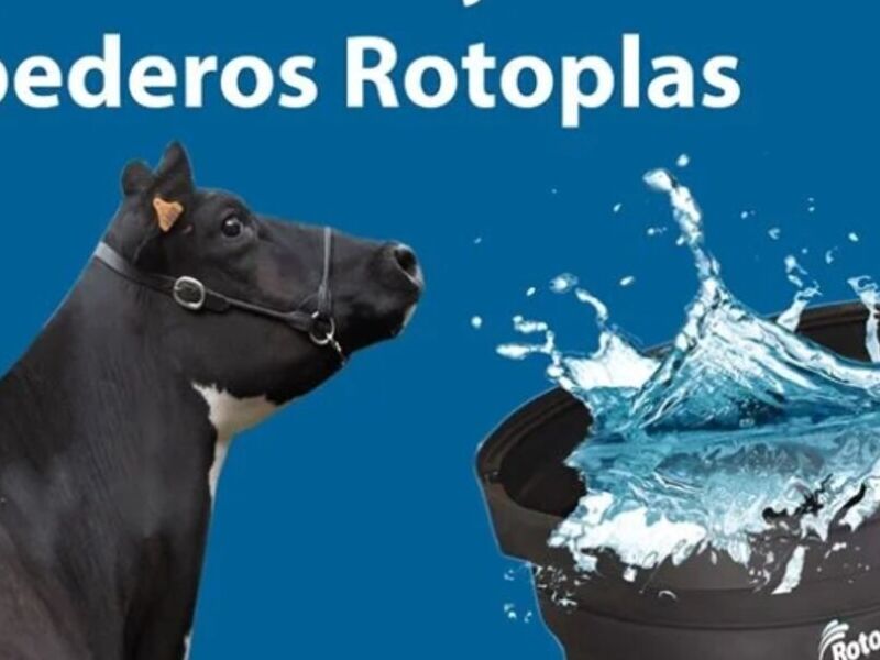Bebederos Rotoplas México 