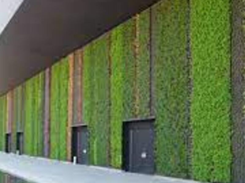 Muros verdes decoración México