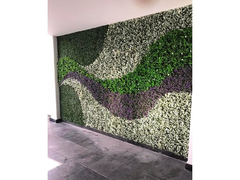 Muro verde amárelo México