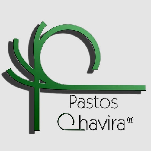 Pastos Chavira