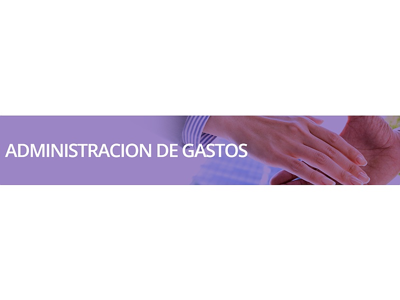 ADMINISTRACION DE GASTOS México