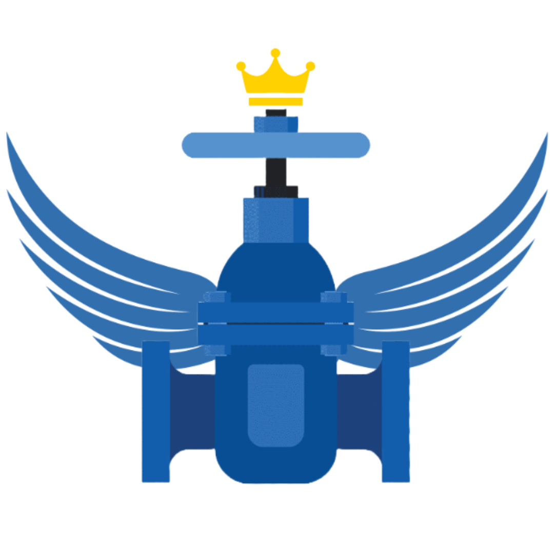 Valvulas Anaxsa