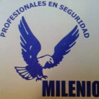 Seguridad del Milenio