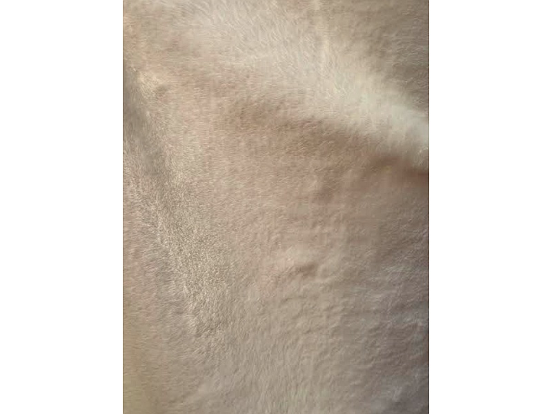 TELA COTTON TAIL