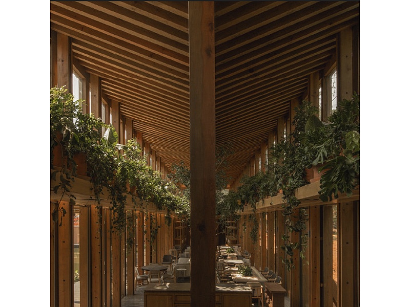Estructuras de madera