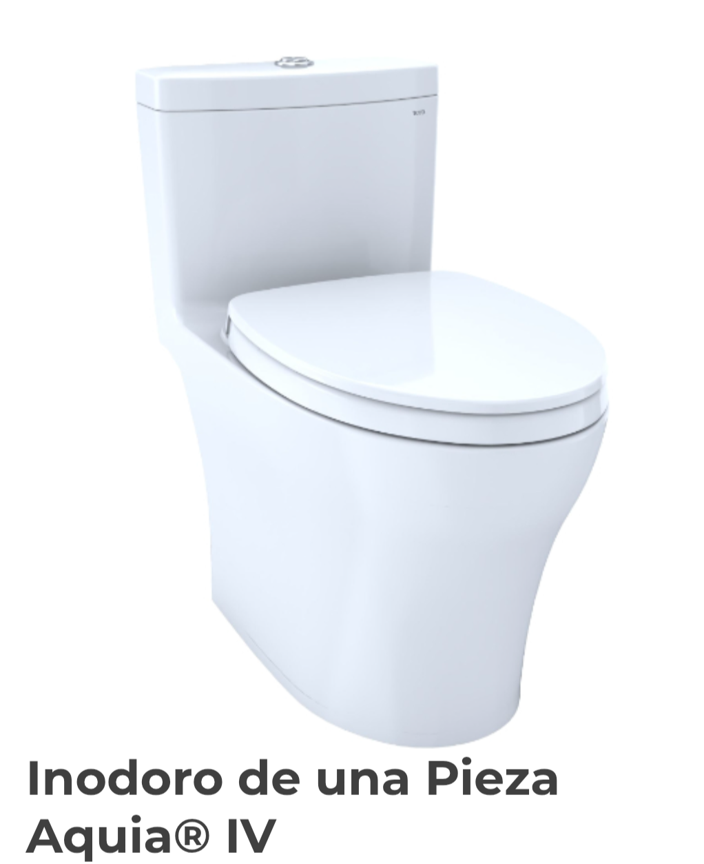 Inodoro de una pieza.