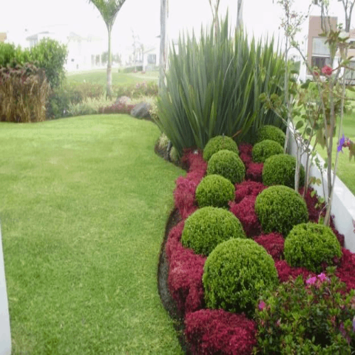 Jardinería y paisajismo