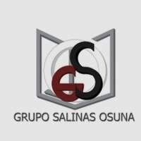 Grupo Salinas Osuna