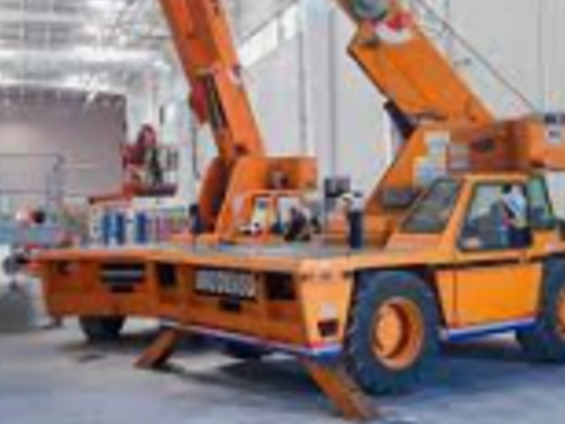 Gruas pulma larga