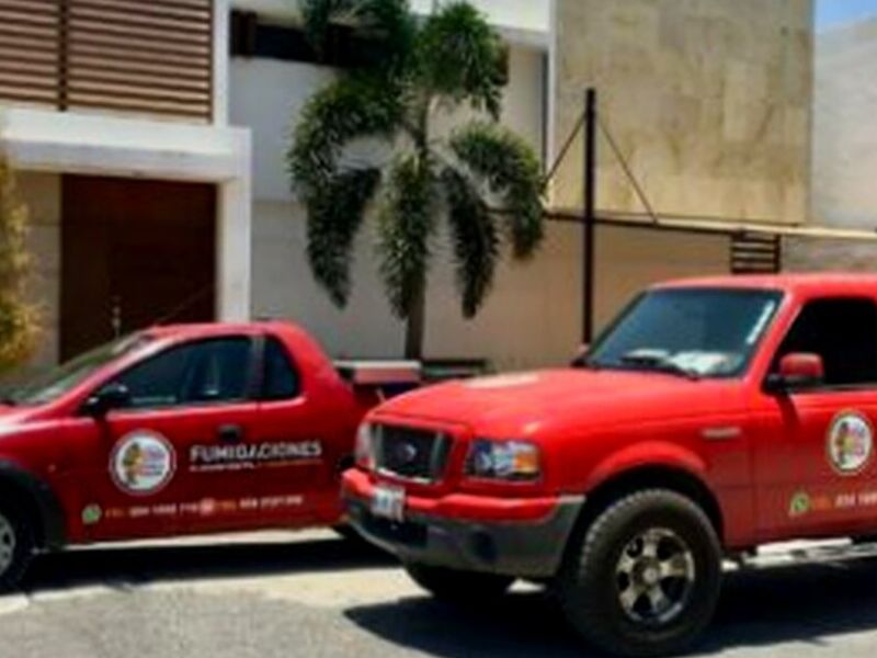 Fumigación Residencial México