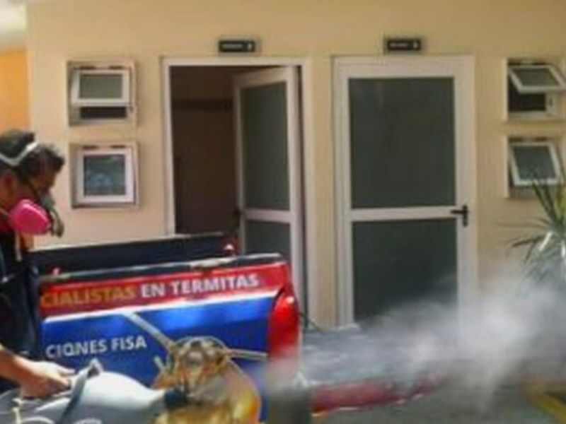 Fumigación Comercial México