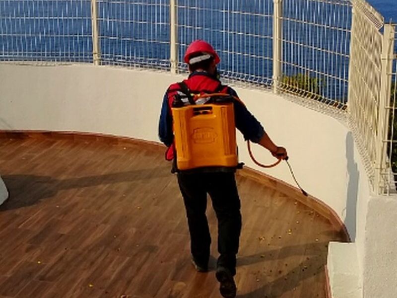 Control Plagas México