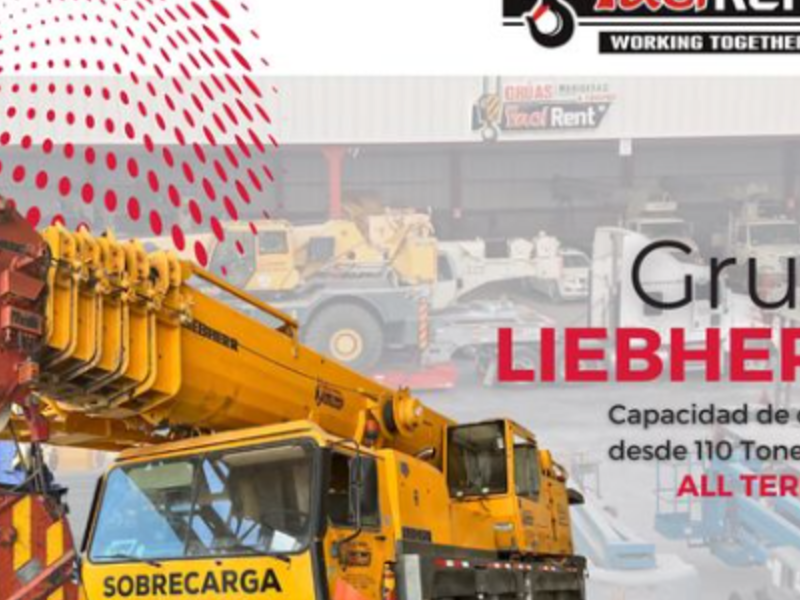 Grua LIEBHERR  Torreon 