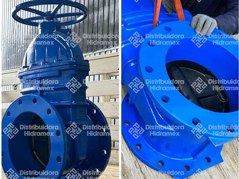 Válvula compuerta vástago fijo México