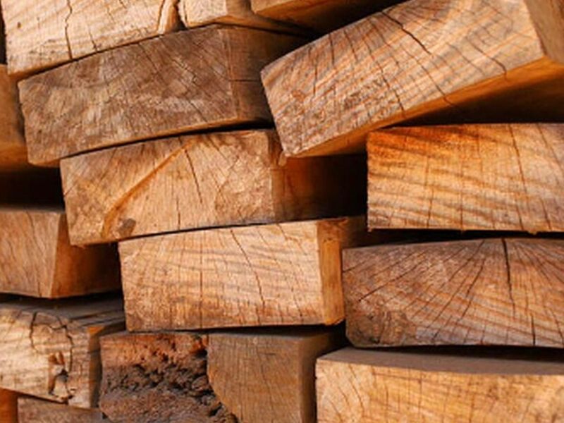 Madera Pino México