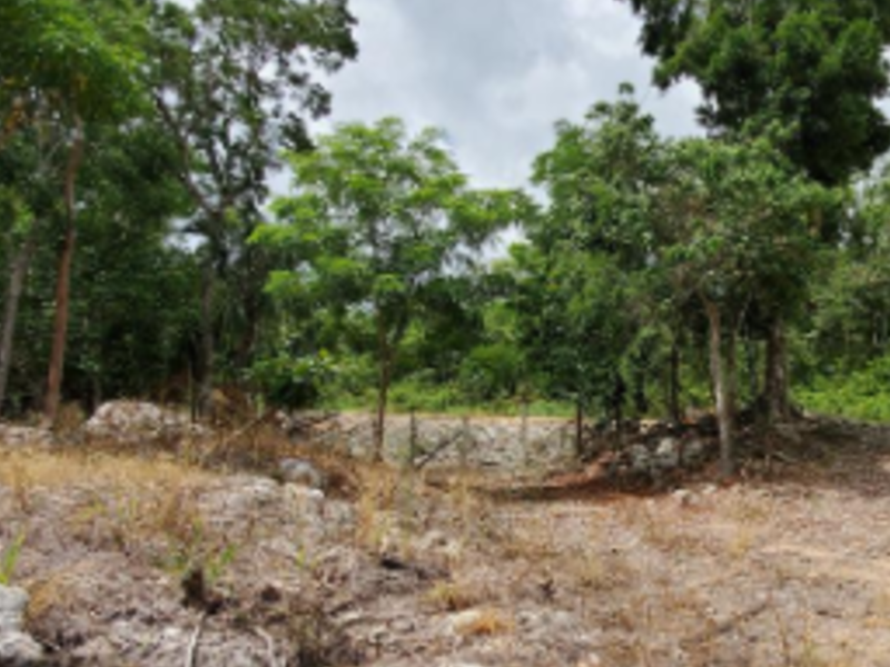 Terreno Venta X Playa del Carmen