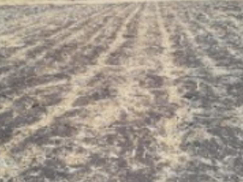 Terreno Venta LP Playa del Carmen