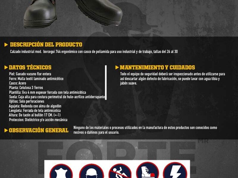 Calzado industrial borceguí 744 México 