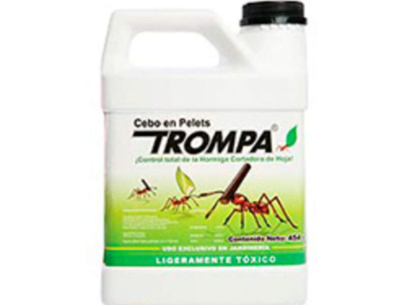 Trompa México