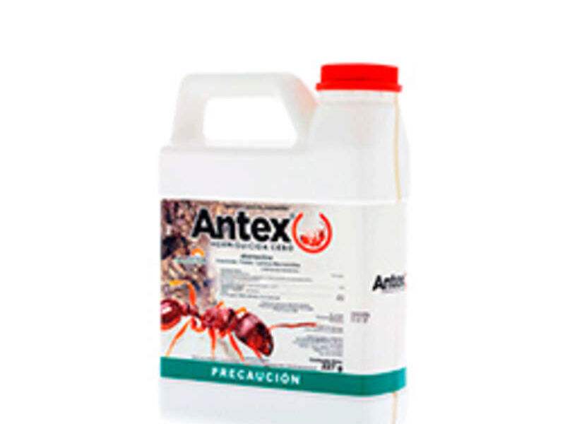 ANTEX MÉXICO