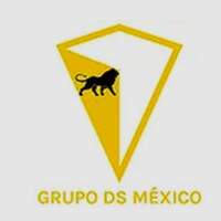 Grupo DS México