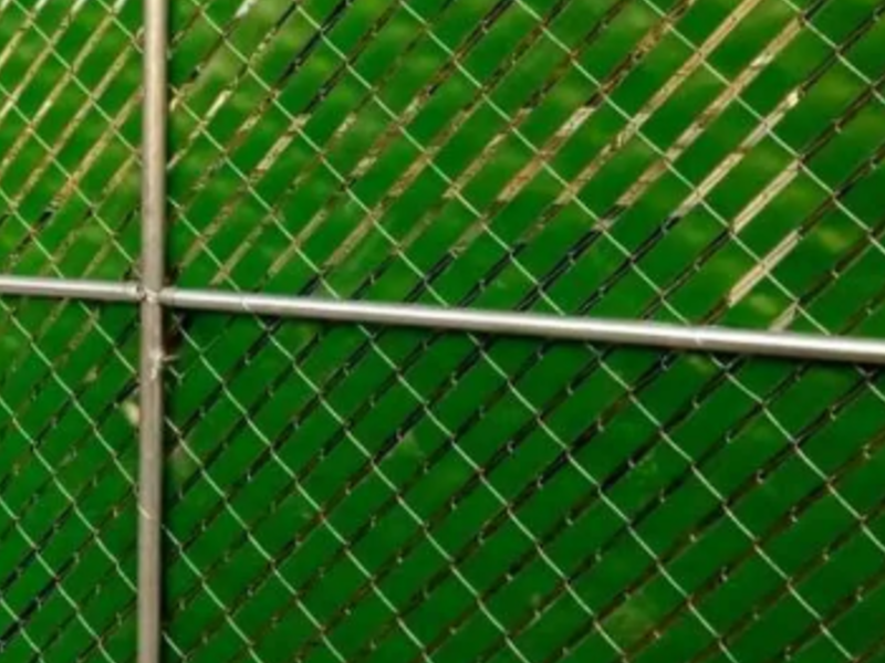Cinta Privacidad Verde México