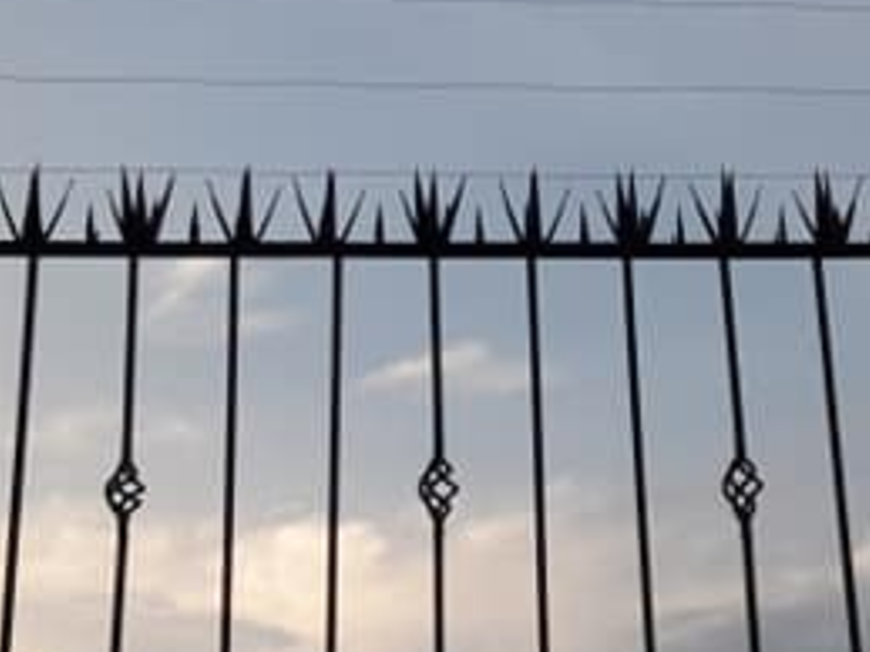 Pico Seguridad México