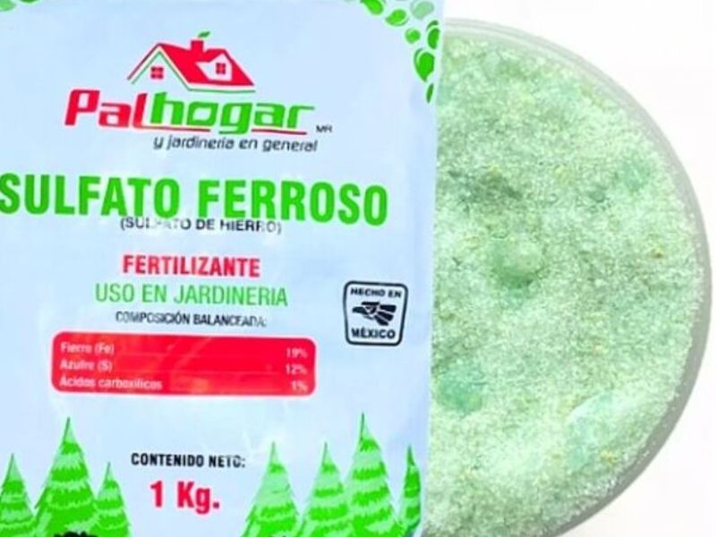 SULFATO FERROSO MÉXICO