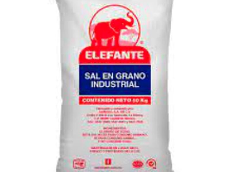 Sal industrial Sinaloa