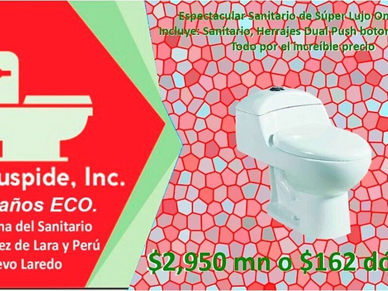 Sanitario una pieza Jalisco