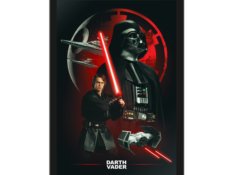Cuadro Decorativo Dearth Vader México