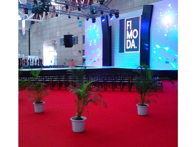 Alfombra roja Zapopan