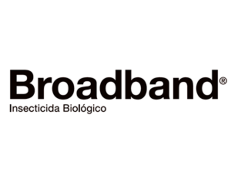 Insecticida Broadband México