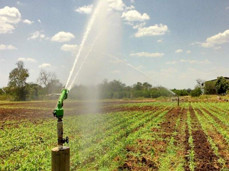 Areas Verdes Campeche
