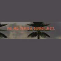 ING. ARQ. SERGIO A. DELGADILLO GTZ