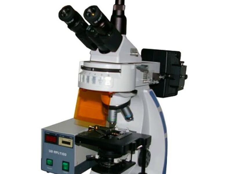 Microscopio de Inspección de Campo CDMX