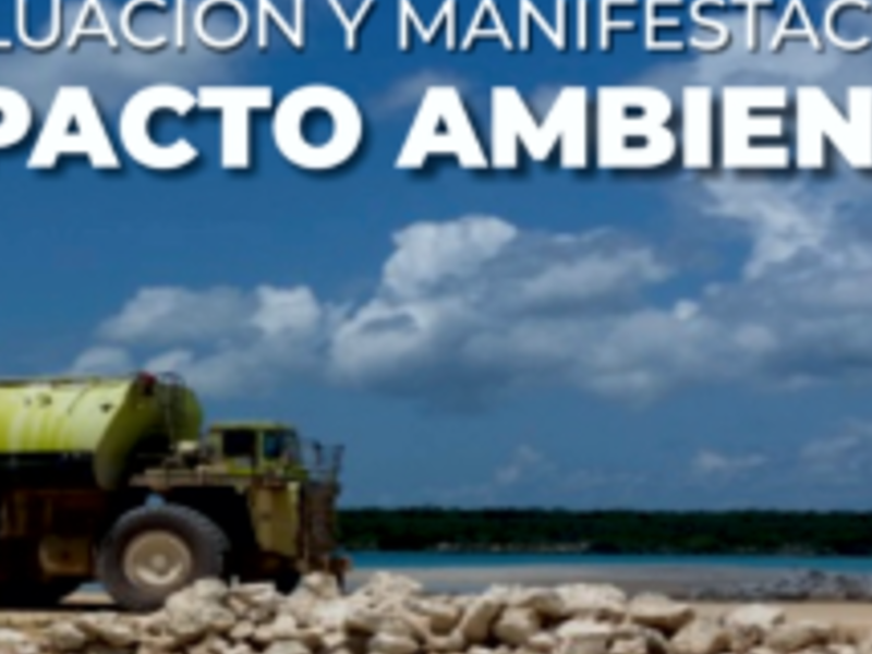 Manifestación impacto ambiental