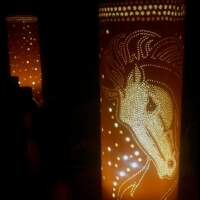 Luminárias de PVC Brasilia