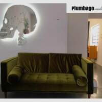 Plumbago